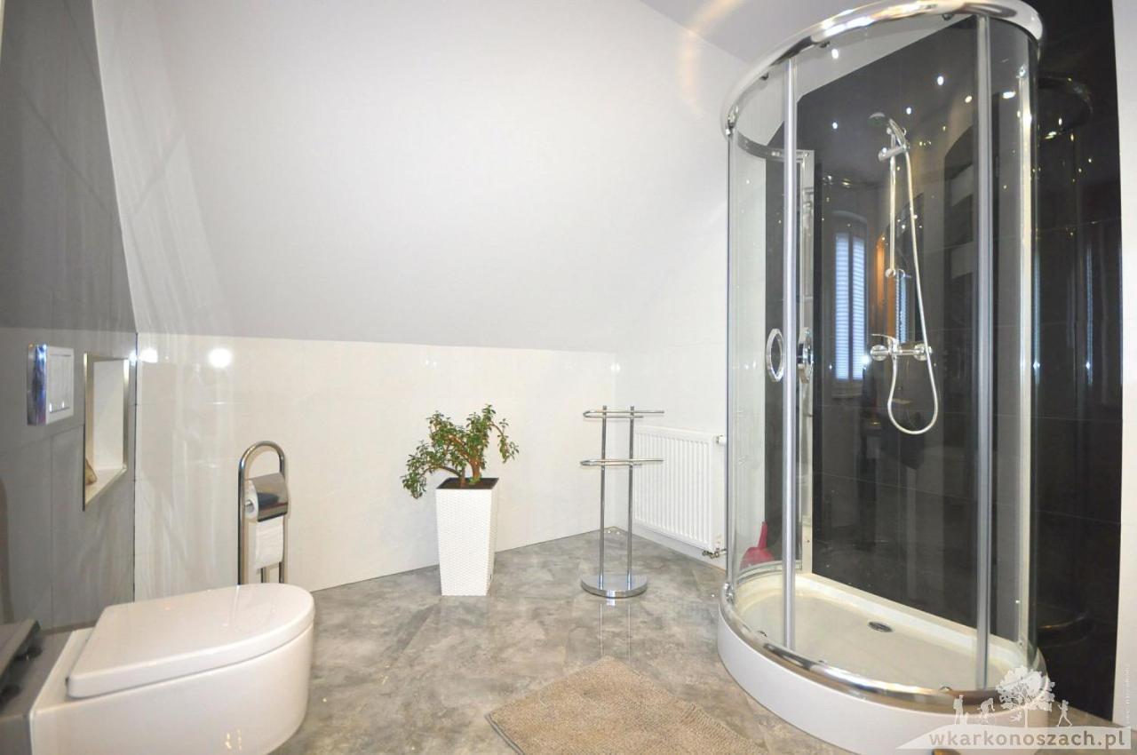 Waldi Apartament Cieplice 耶莱尼亚古拉 外观 照片